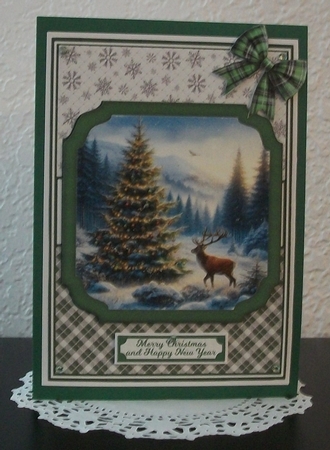 WILD CHRISTMAS by Teddi Phillips