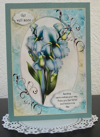Blue Iris Get Well/anniversary by Teddi Phillips