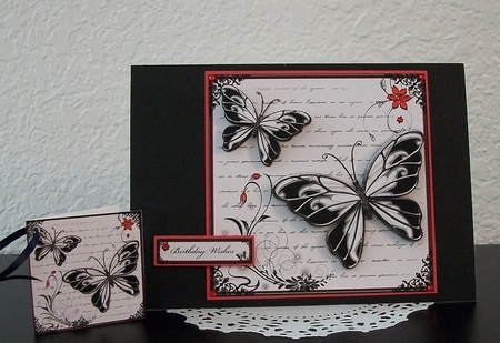 Butterflies by Teddi Phillips