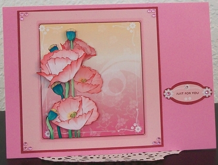 Pretty Poppies by Teddi Phillips