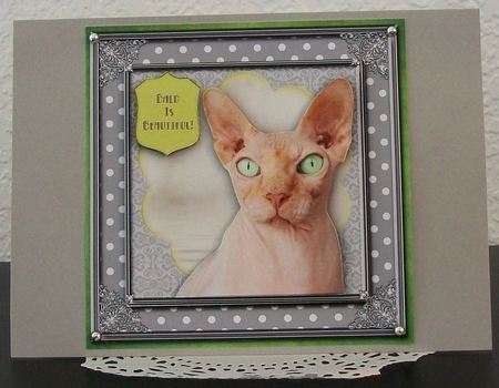 Bald is Beautiful Card Kit by Teddi Phillips