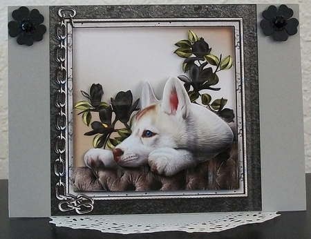 Male Card Loyal Observer Mini Kit by Teddi Phillips
