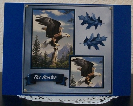 The Hunter by Teddi Phillips