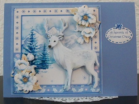 Winter Wonderland by Teddi Phillips