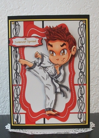 Karate Boy  by Teddi Phillips