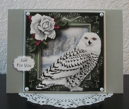 Snowy Owl by Teddi Phillips