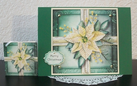 White Poinsettia Christmas Present by Teddi Phillips