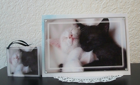 kitty Toppers with tags  by Teddi Phillips