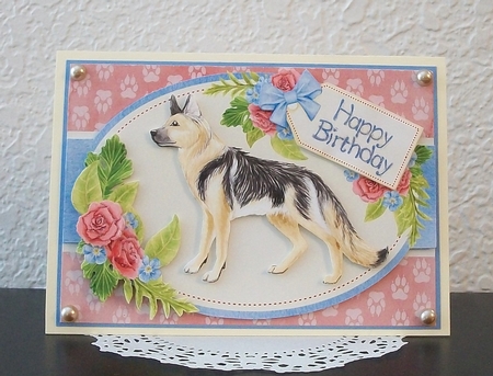 German Shepherd by Teddi Phillips