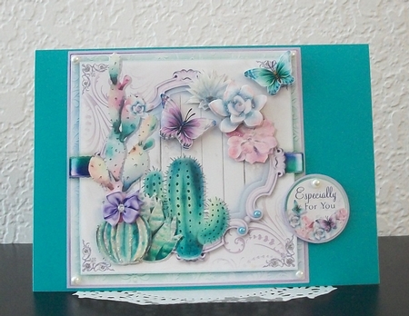 The Cactus and Butterflies by Teddi Phillips