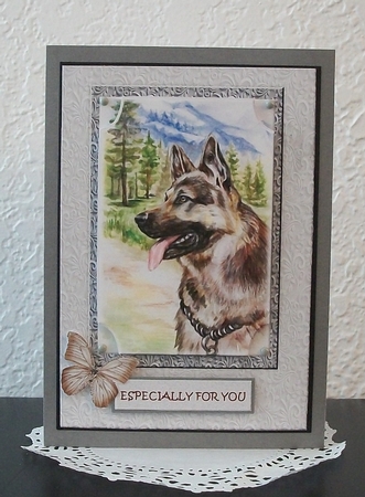 Male Card German Shepherd by Teddi Phillips