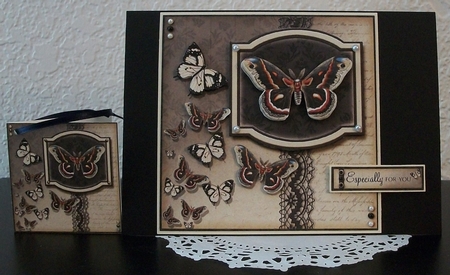 Wings by Teddi Phillips