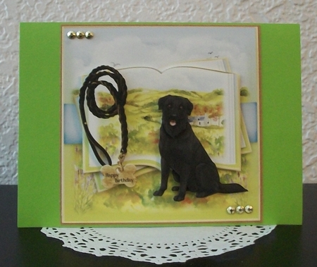 On a Dog Walk  by Teddi Phillips