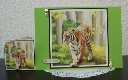 Go wild - tiger mini kit & decoupage by Teddi Phillips
