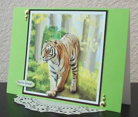 Go wild - tiger mini kit & decoupage by Teddi Phillips