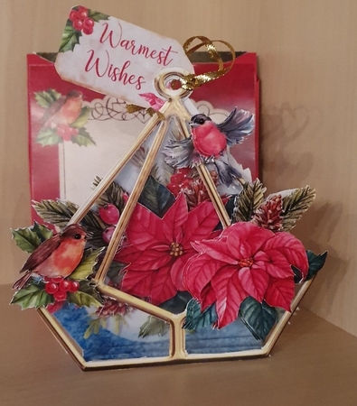 Christmas Poinsettias 3d Terrarium Cards & Envelopes Kit by xt farr