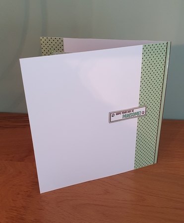 A Woman Cannot Survive on Coffee Alone Bumper Kit by xt farr