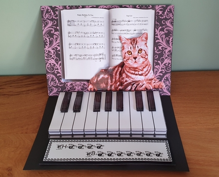 Cat 2 and Piano Keys A5 Size by xt farr