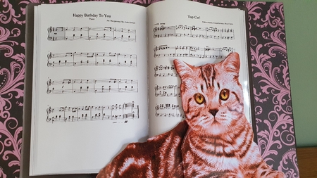 Cat 2 and Piano Keys A5 Size by xt farr