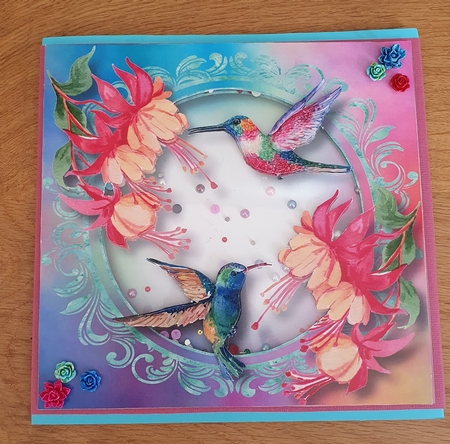 Colourful Humming Birds by xt farr
