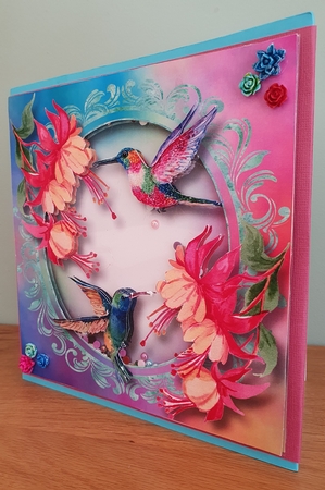 Colourful Humming Birds by xt farr