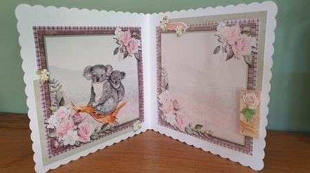 KOALA & JOEY by xt farr