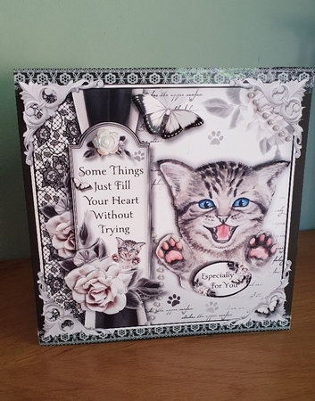Crazy Cat Lady Bumper Kit by xt farr