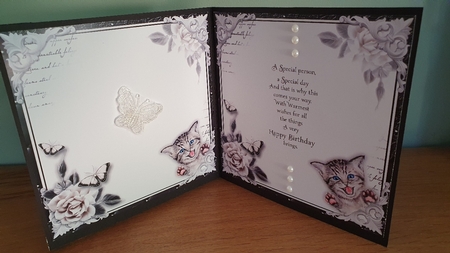 Crazy Cat Lady Bumper Kit by xt farr