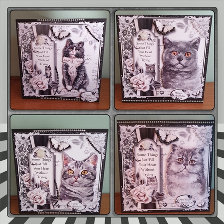 Crazy Cat Lady Bumper Kit by xt farr