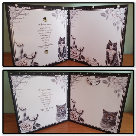 Crazy Cat Lady Bumper Kit by xt farr