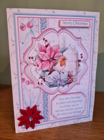 A5 ROBIN PORTRAIT CHRISTMAS Cards Pyramage & Inserts Bumper Kit by xt farr