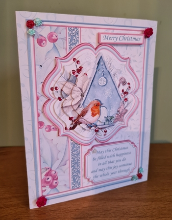 A5 ROBIN PORTRAIT CHRISTMAS Cards Pyramage & Inserts Bumper Kit by xt farr