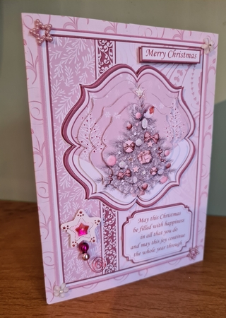 A5 ROBIN PORTRAIT CHRISTMAS Cards Pyramage & Inserts Bumper Kit by xt farr