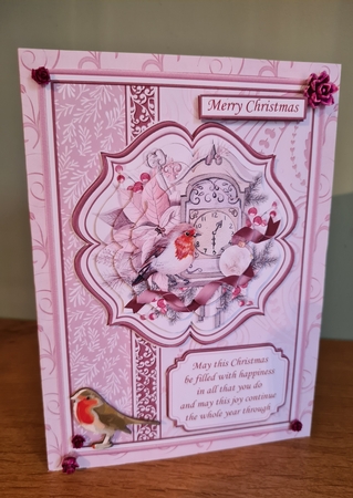 A5 ROBIN PORTRAIT CHRISTMAS Cards Pyramage & Inserts Bumper Kit by xt farr