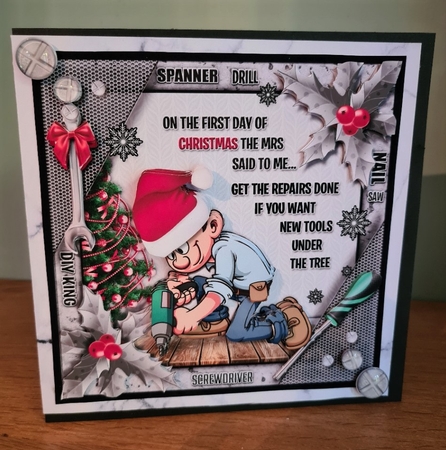 On The 1st Day Of Christmas The Mrs Said To Me... by xt farr