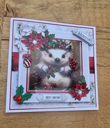 Holly Berry Hedgehog by xt farr