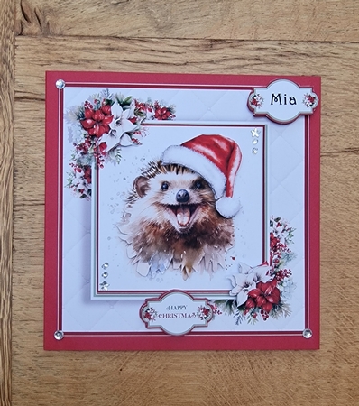 The Christmas Hedgehog by xt farr
