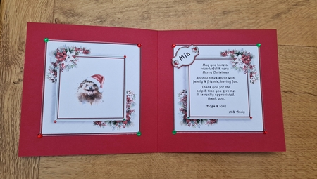 The Christmas Hedgehog by xt farr