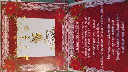 Red Robin Lace Top Easel Card & Envelope Kit by xt farr