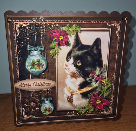 Vintage Cats n Kittens Mini Kit. 8 by xt farr