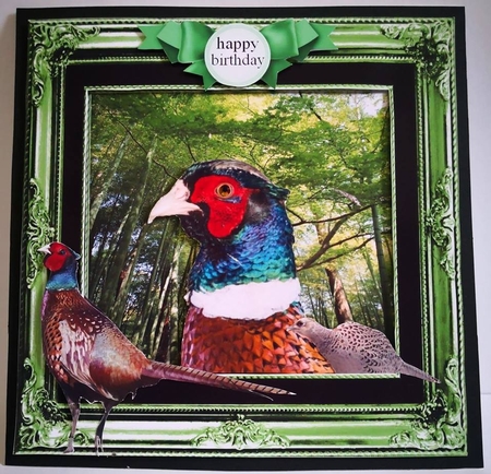pheasant by Mrs Teresa Best