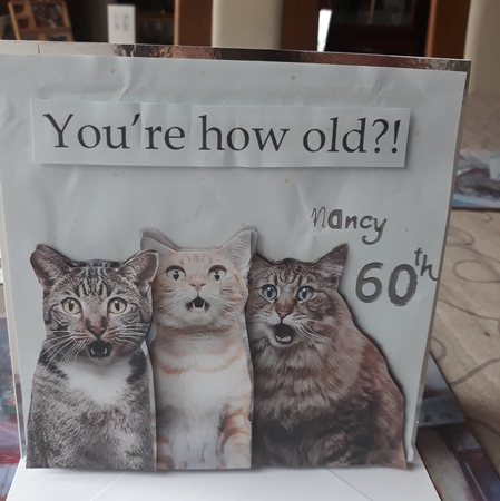 How Old?! one  by Teresa Lunn