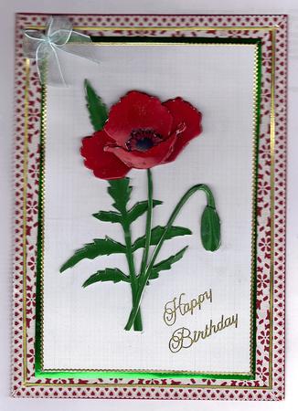 Red Poppy by Teresa Savin