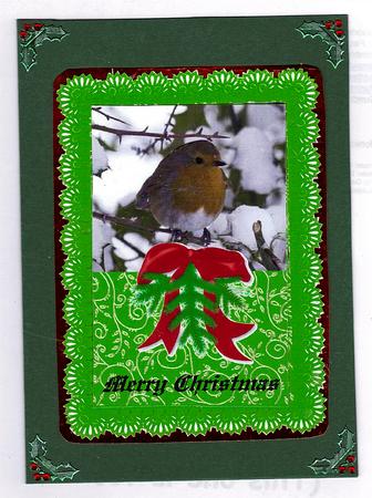 Pretty Robin and Lace A4 Cardfront by Teresa Savin