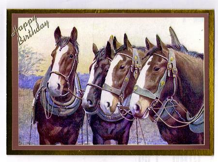 Horses by Teresa Savin