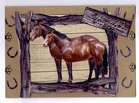 For the Horse Lover Comngratulations Happy Birthday by Teresa Savin