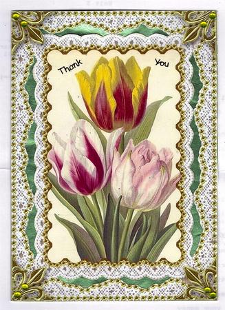 Tulip Trio Matching Spiral 7x5inch Folded Card by Teresa Savin