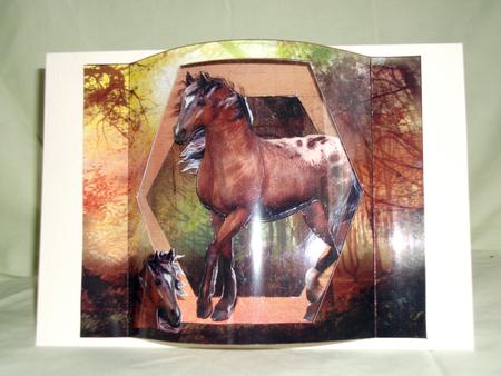 Sunset Horse Cardarama Part 2 by Teresa Savin