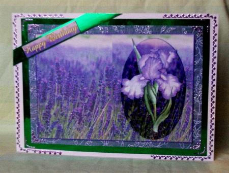 Lavender and Iris Purple Haze by Teresa Savin