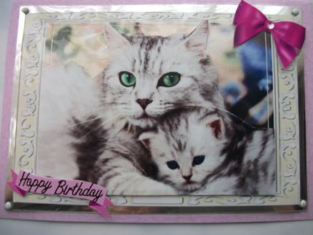 Cute Cat & Kitten by Teresa Savin